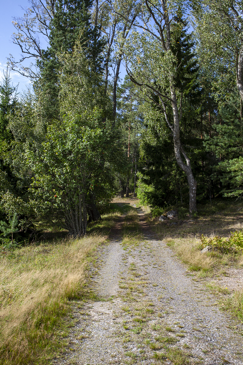 4 h + k Vainoinen Nousiainen