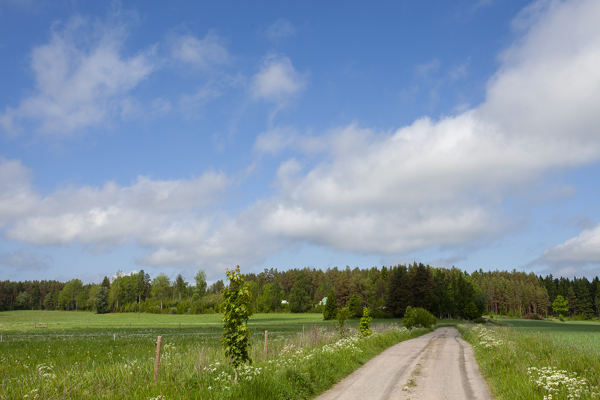 5 h + k + s Reku Kemiönsaari 150 m²